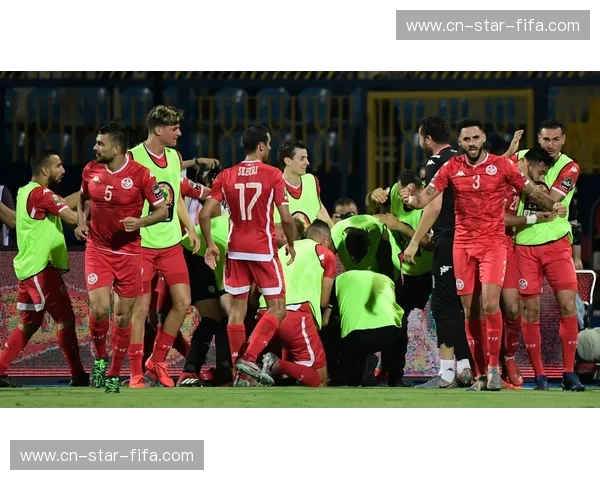 分析非洲杯：从激情赛场到战术洞见的全面解读